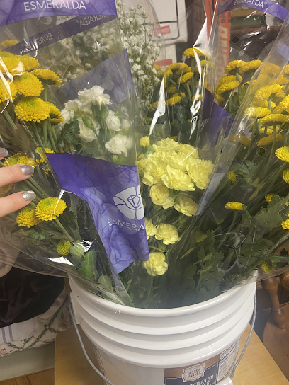 Basic Whosale Floral Distributors LLC — photo
