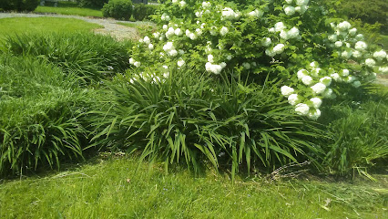 Centennial Garden in Detroit, MI — photo 1