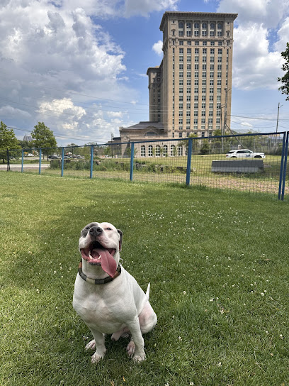 Detroit Dog Park — photo