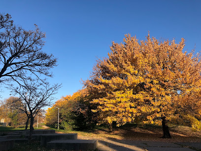 Elmwood Central Park — photo