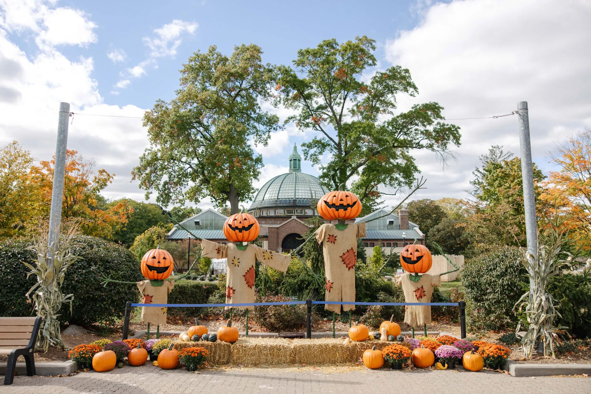 Zoo Boo