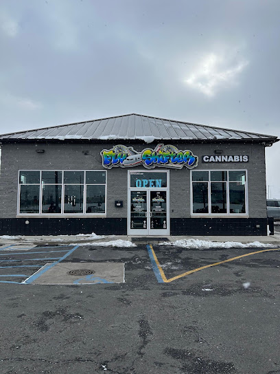 Fly Shifter Recreational Cannabis - East Detroit — photo