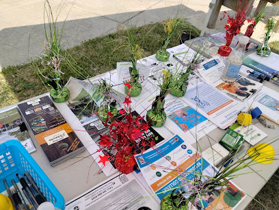Hope Village Farmers Market in Detroit