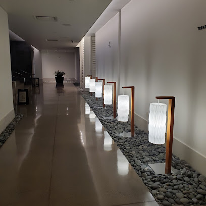 IMMERSE Spa in Detroit