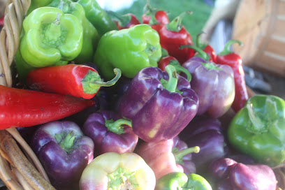 Islandview Farmers Market in Detroit, MI — photo 1