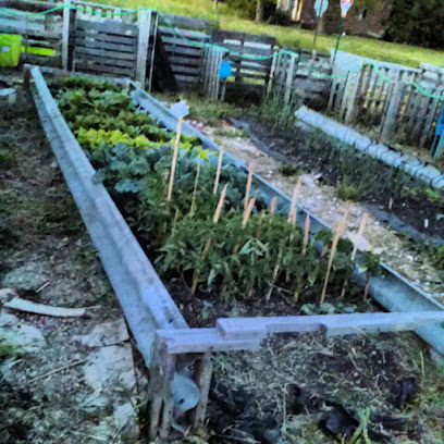 King Street Garden — photo