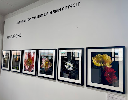 Metropolitan Museum of Design Detroit — photo