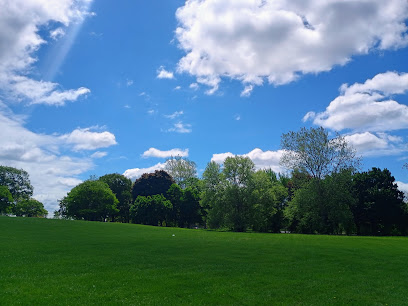 Patton Park in Detroit