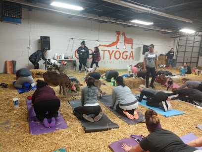 Pingree Farms Goat Yoga Studio — photo