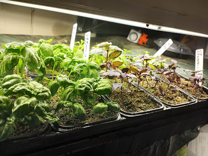Red Flower Growers — photo