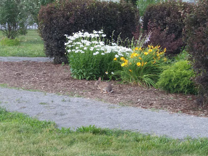 Scarcyny Park and Garden — photo