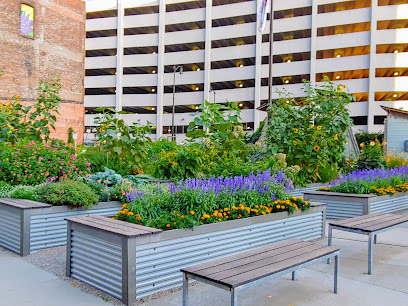 The Greening of Detroit - Lafayette Greens — photo