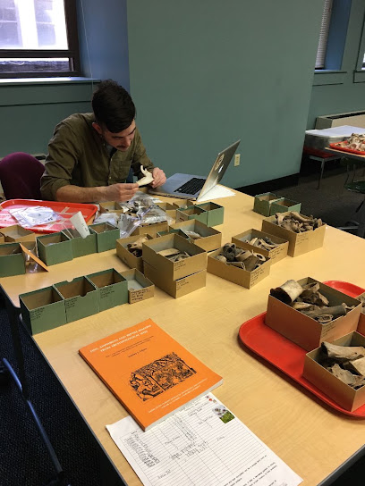 Wayne State University Gordon L. Grosscup Museum of Anthropology — photo