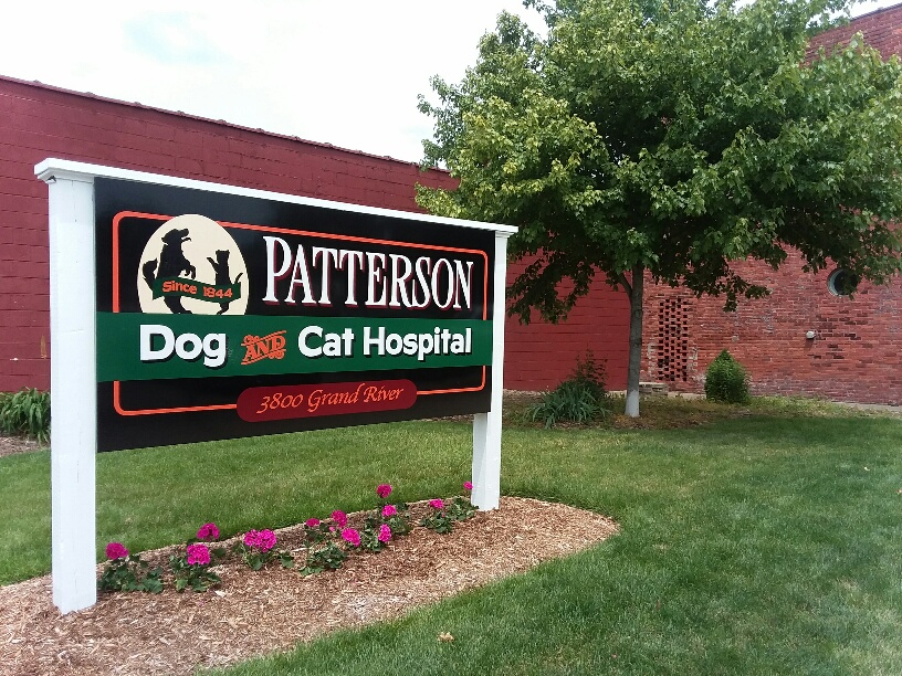 Patterson Dog and Cat Hospital — photo