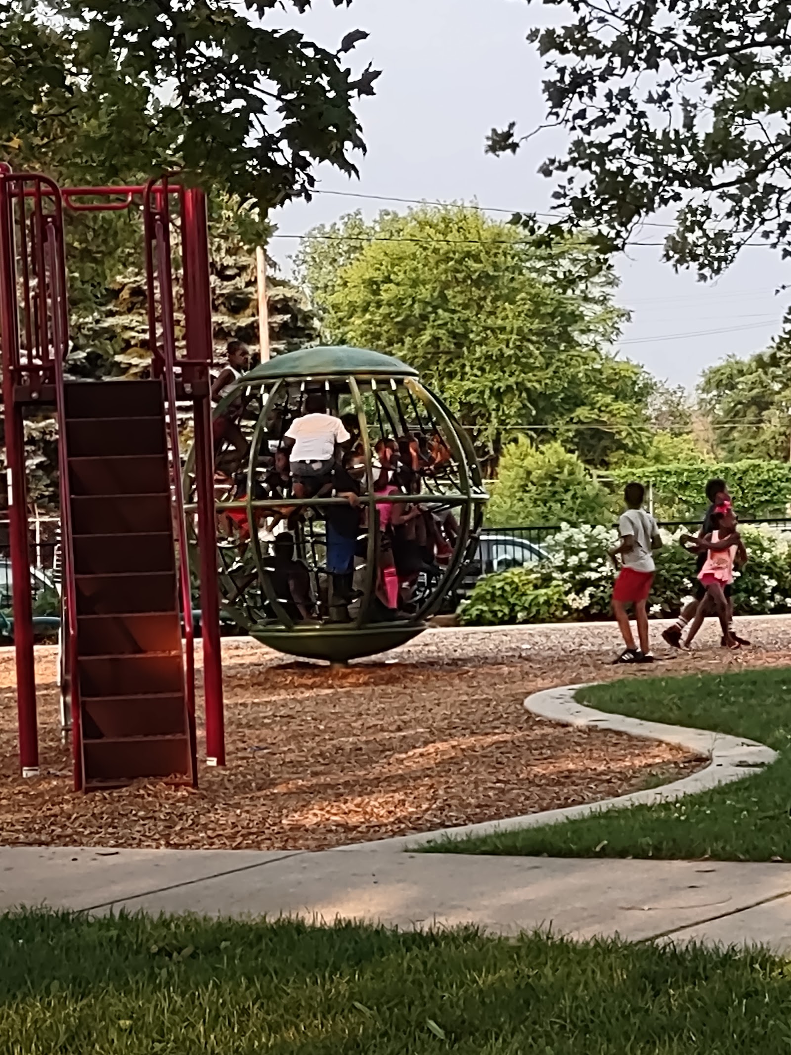 Rose Dog Park — photo